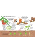 Curious Q & A About Plants